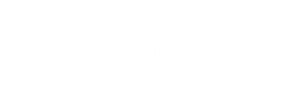 Mind Rise