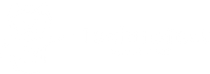 Techno Fest